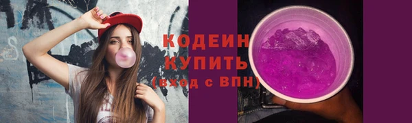 СК Вяземский