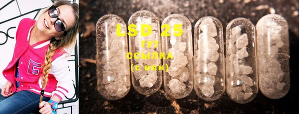 СК Вяземский