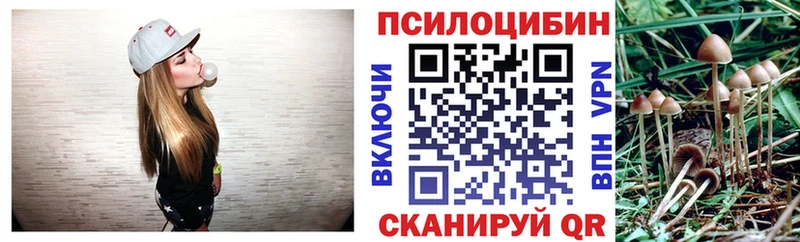 Галлюциногенные грибы мицелий Солигалич